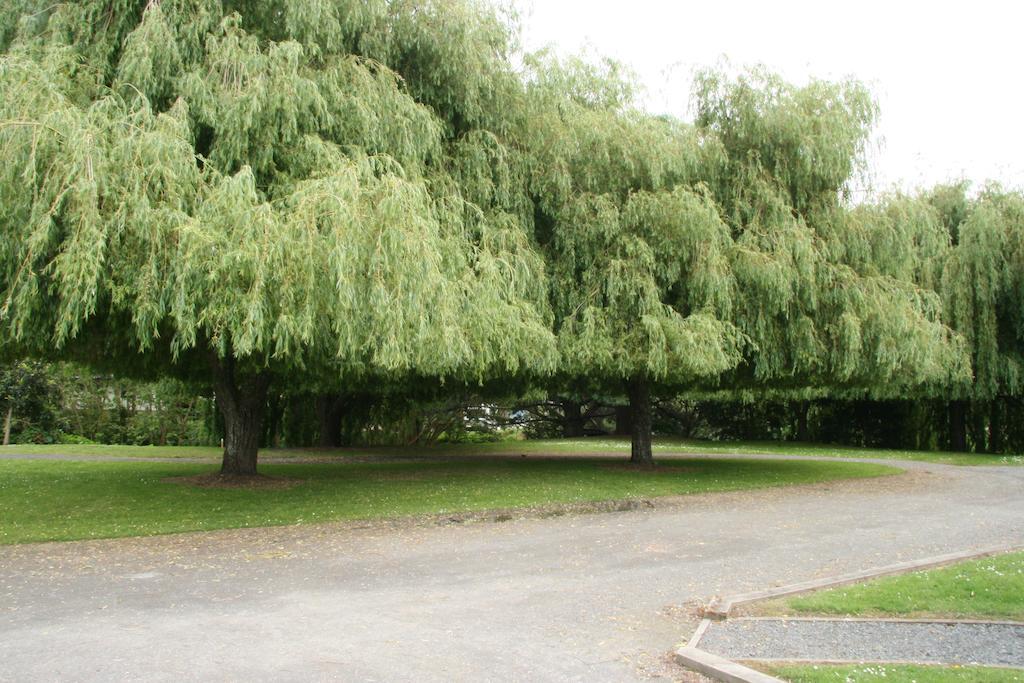 Whangarei Central Holiday Park Eksteriør bilde